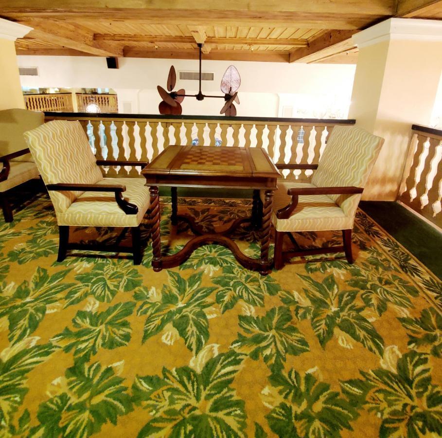 Romantic Studio In The Heart Of Palm Beach Dış mekan fotoğraf